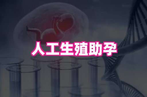 厦门助孕网站 1