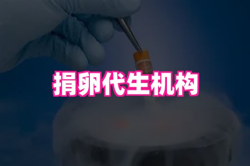 厦门助孕网站 4